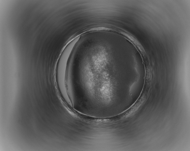 X0000116060858200911271241