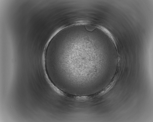X0000116060859200911271241
