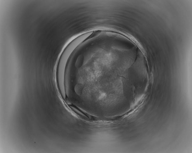X0000116060862200911271241