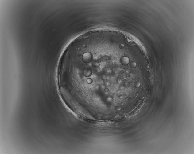 X0000116060863200911271241