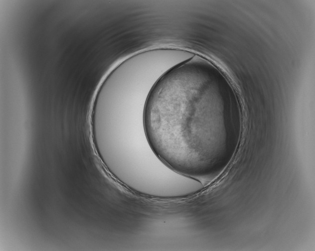 X0000116060864200911271241