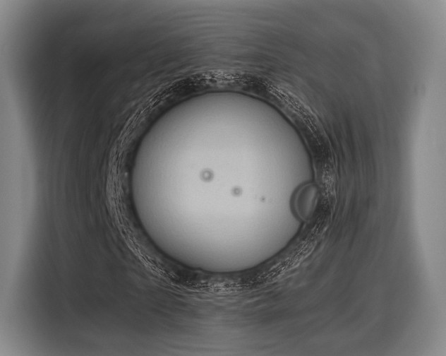 X0000116060865200911271240