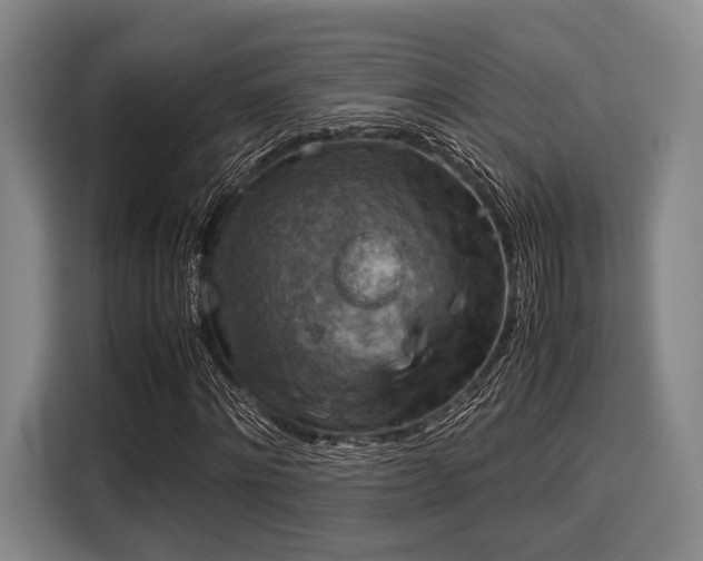 X0000116060868200911271240
