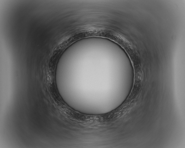 X0000116060869200911271240