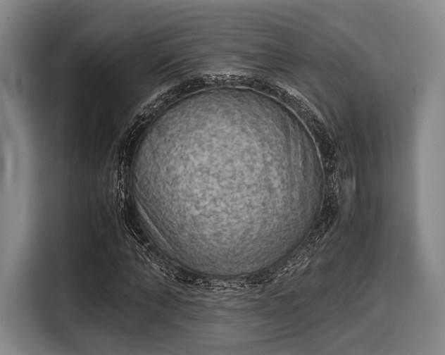 X0000116060870200911271240