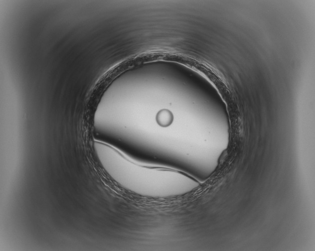 X0000116060872200911271240