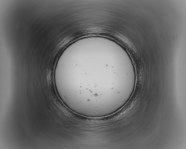 X0000116060873200911271240
