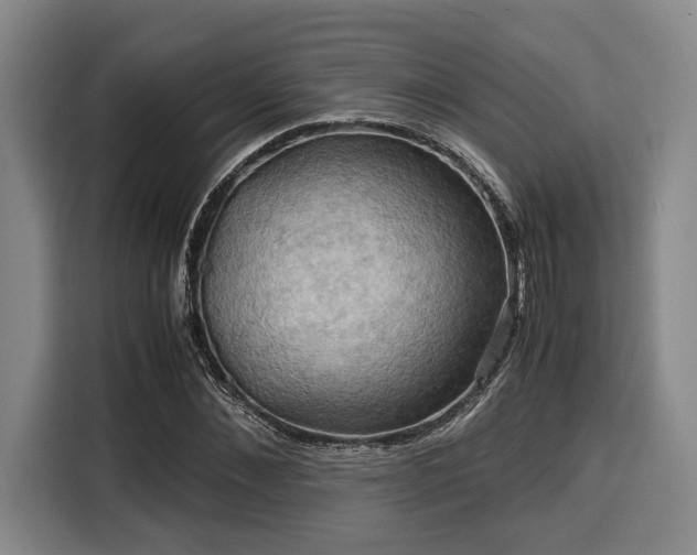 X0000116060876200911271240