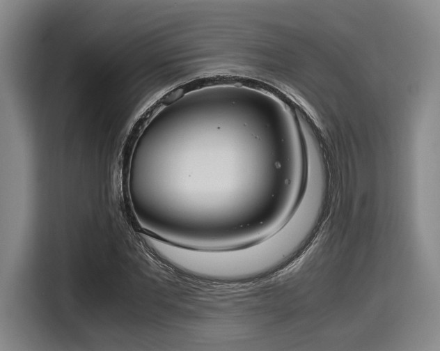 X0000116060877200911271240