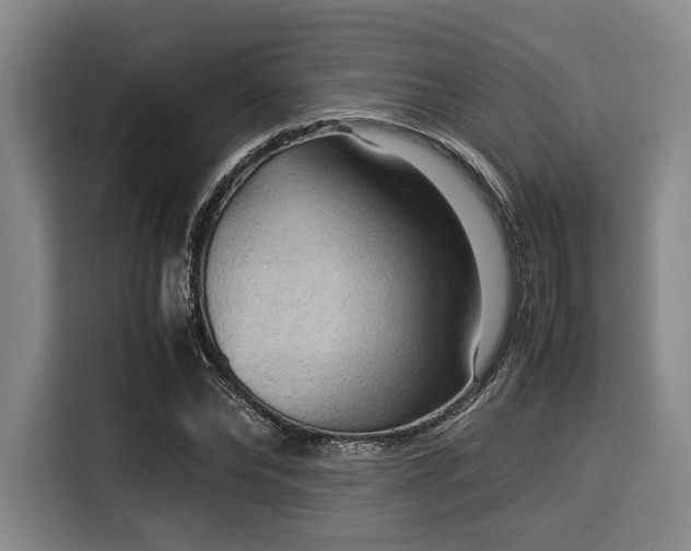 X0000116060878200911271240