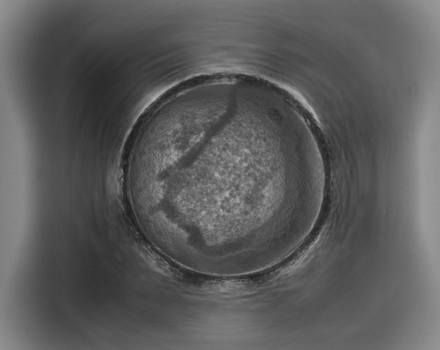 X0000116060879200911271240