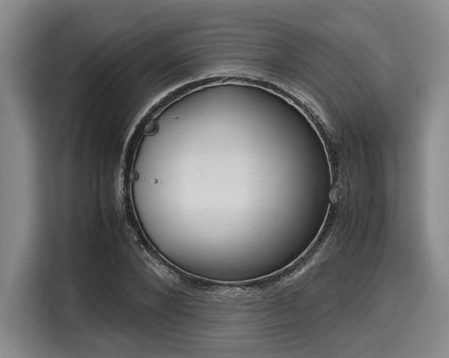 X0000116060880200911271240