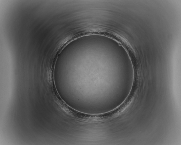 X0000116060881200911271240