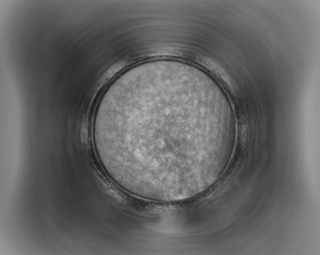 X0000116060882200911271240