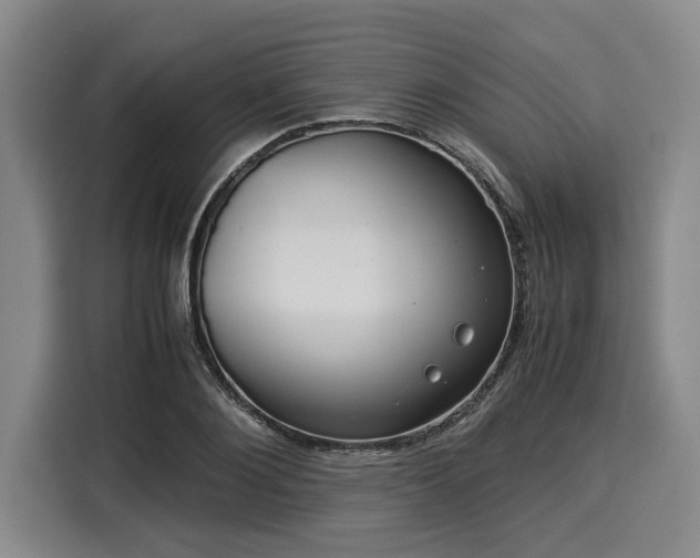 X0000116060884200911271240