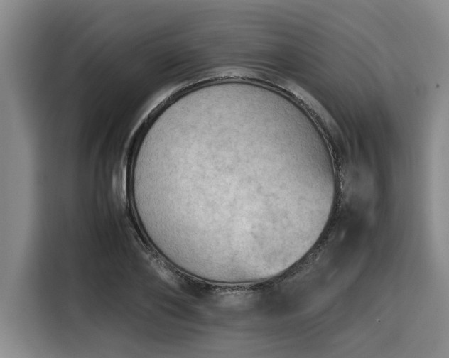 X0000116060886200911271240