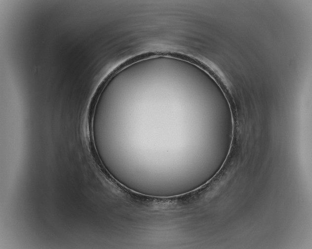 X0000116060887200911271240