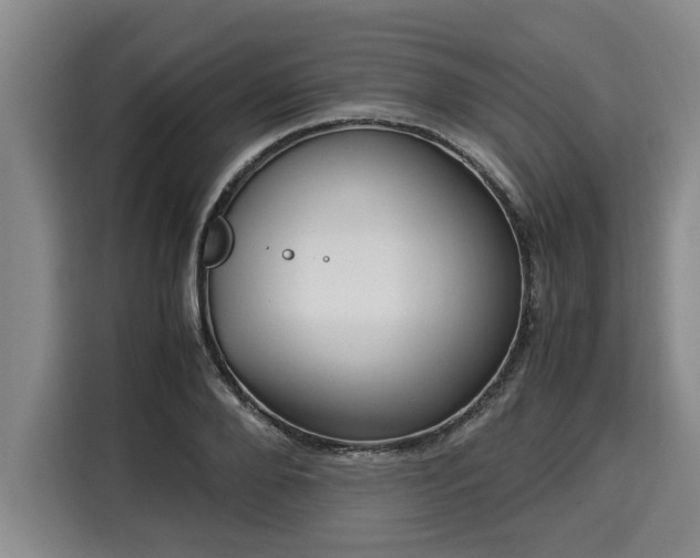 X0000116060888200911271240