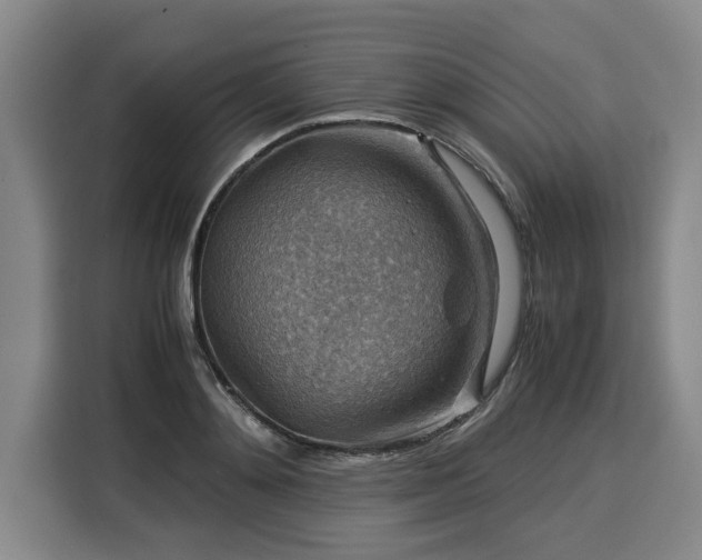 X0000116060892200911271240