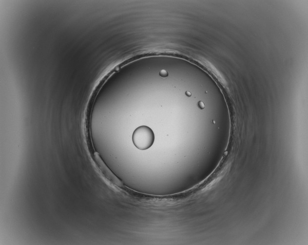 X0000116060893200911271240