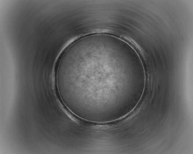 X0000116060894200911271240