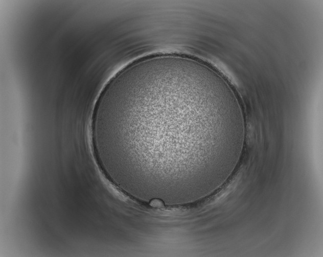 X0000116060895200911271240