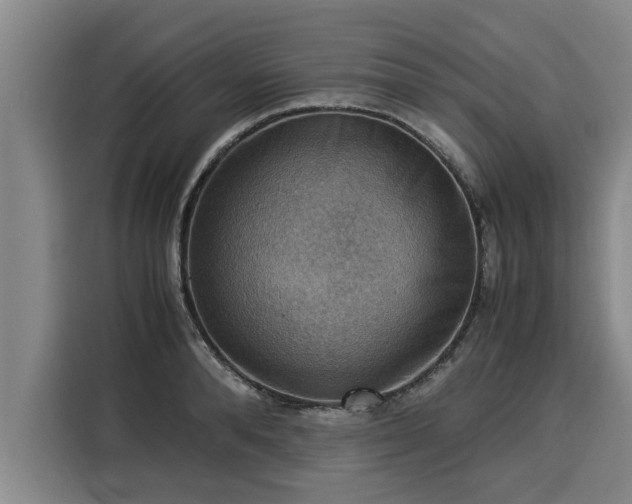 X0000116060896200911271240