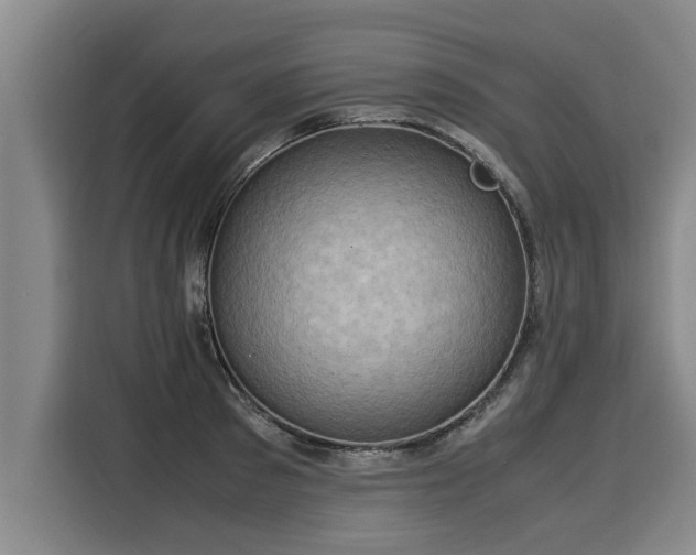 X0000116060897200911271240