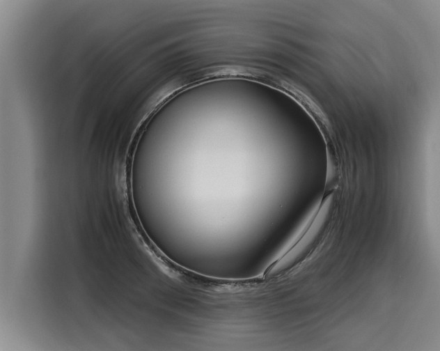 X0000116060898200911271240