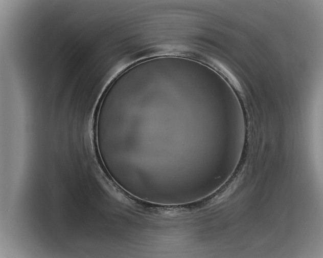 X0000116060899200911271240