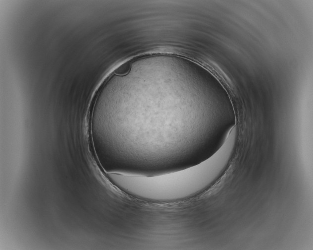 X0000116060900200911271240