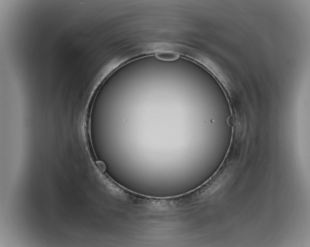 X0000116060901200911271240