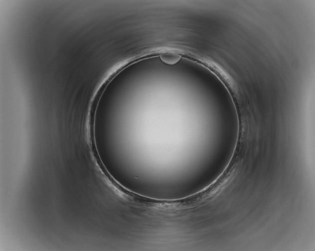 X0000116060902200911271240