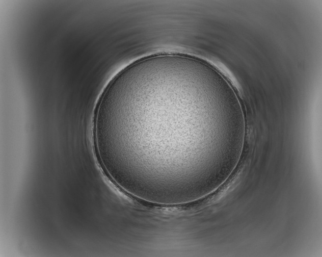 X0000116060903200911271240