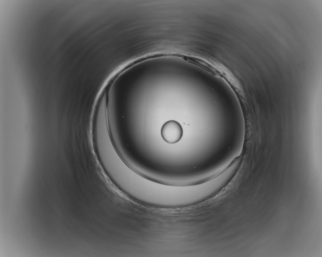 X0000116060904200911271240