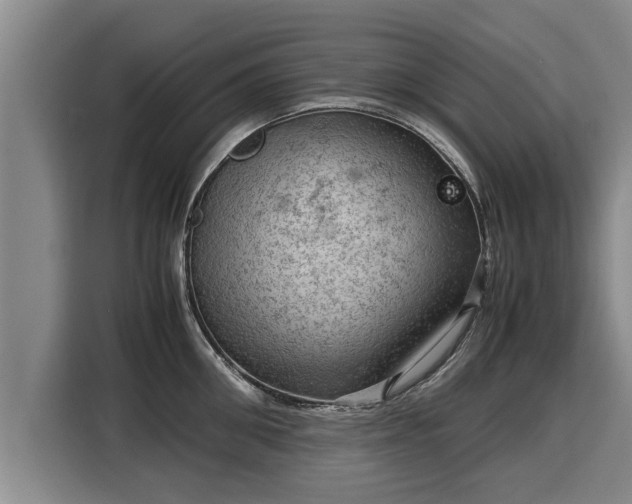 X0000116060906200911271240