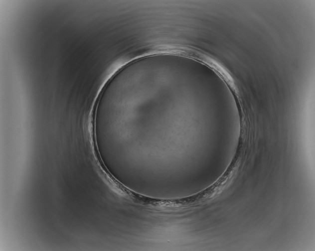 X0000116060907200911271240