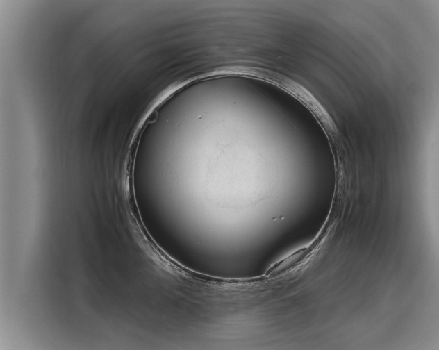 X0000116060908200911271240