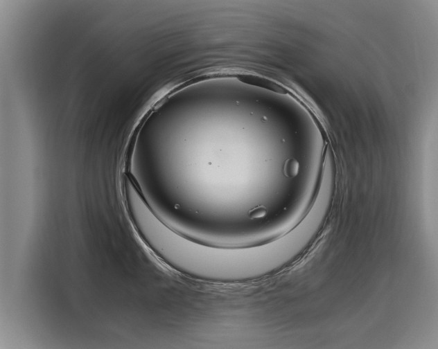 X0000116060909200911271240