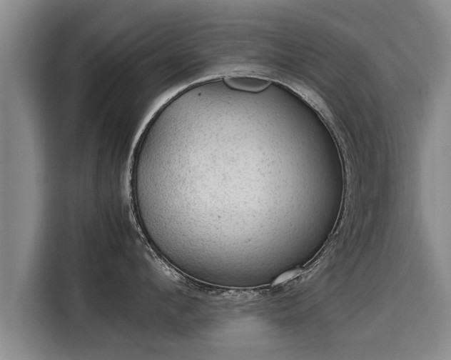 X0000116060912200911271240