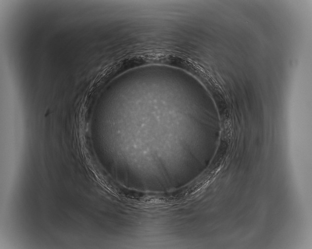 X0000116060913200911271239