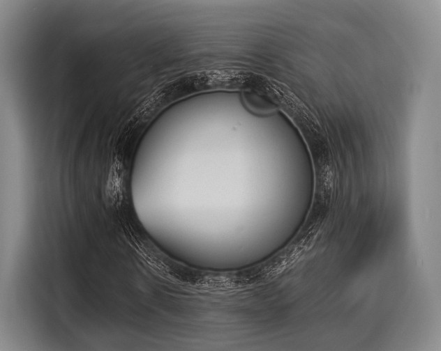 X0000116060914200911271239