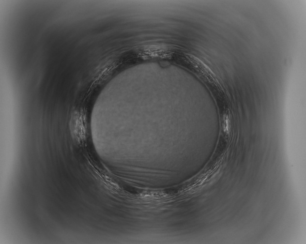 X0000116060915200911271239