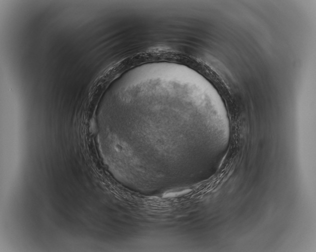 X0000116060919200911271239