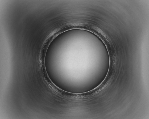 X0000116060922200911271239