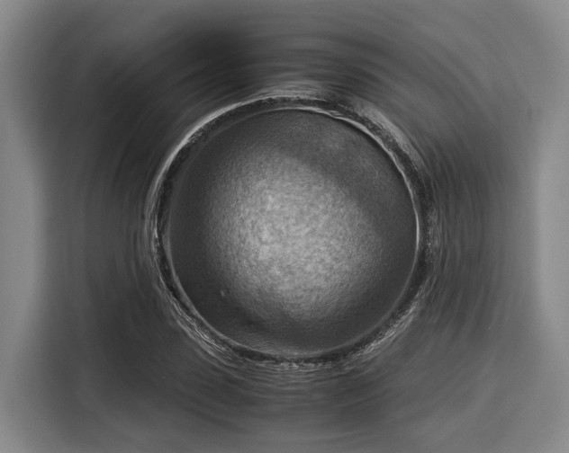 X0000116060923200911271239