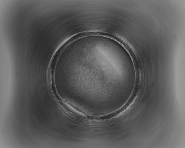 X0000116060925200911271239