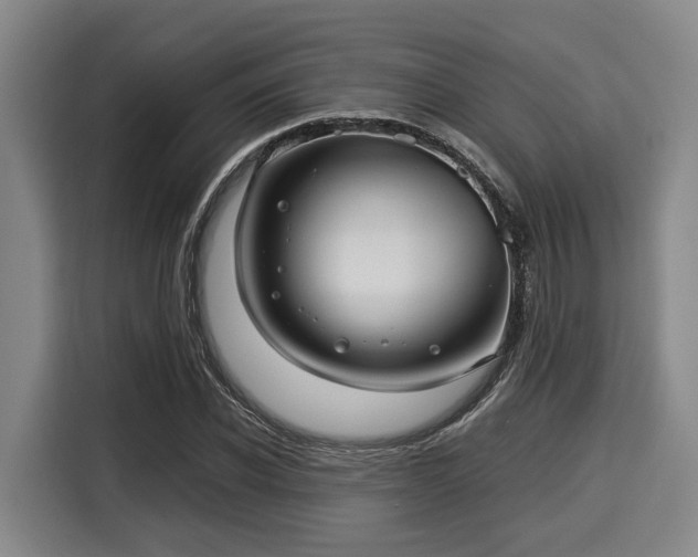 X0000116060926200911271239
