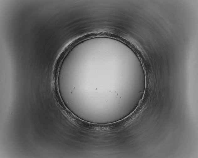 X0000116060927200911271239