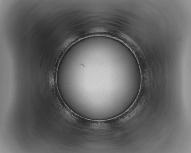 X0000116060929200911271239